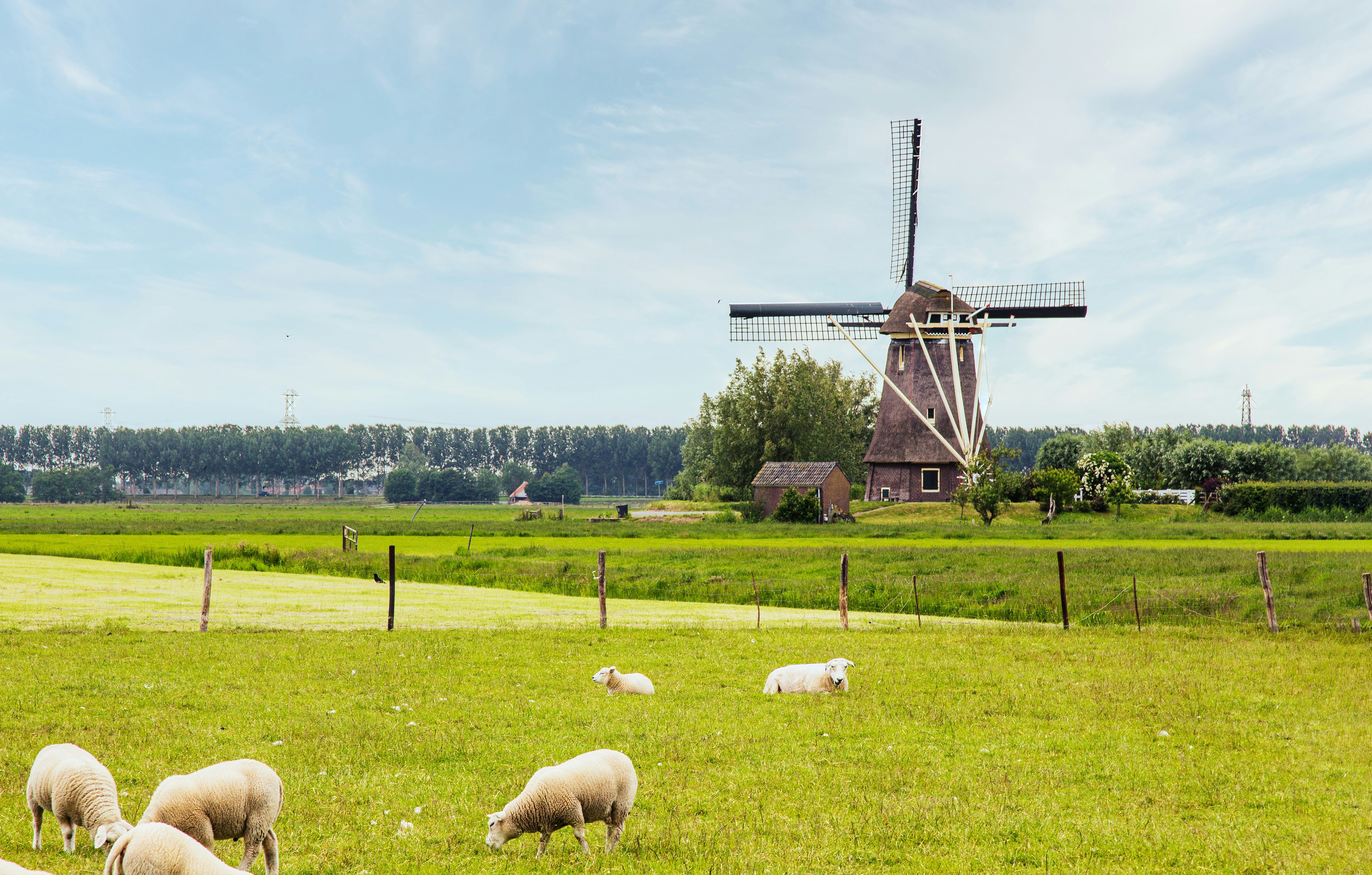 Nederlands platteland landschap